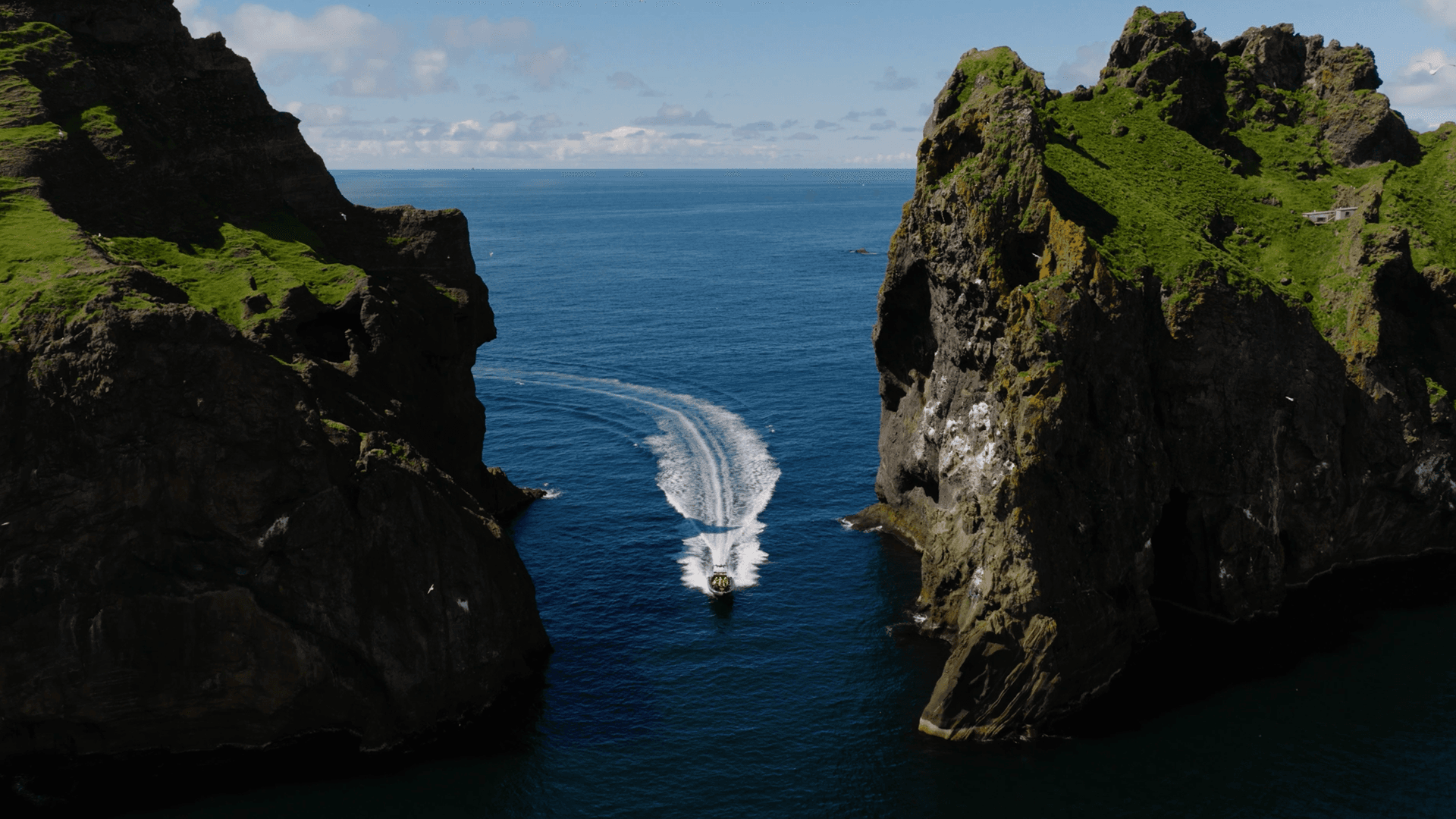 How RibSafari runs safer, smoother and more economical tours with IMAS